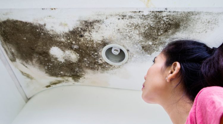 Poor plumbing can lead to mold problems in your home, which can be detrimental to both your property and your health. Here’s a breakdown of what poor plumbing-related mold problems are, their causes, and how to address them: What are Poor Plumbing-Related Mold Problems? Poor plumbing-related mold problems refer to the growth of mold in […]